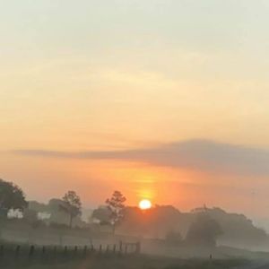 Meet your Posher, Vickie